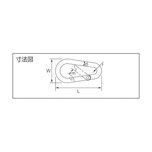 TSKH10NS カラビナハーケンNS型