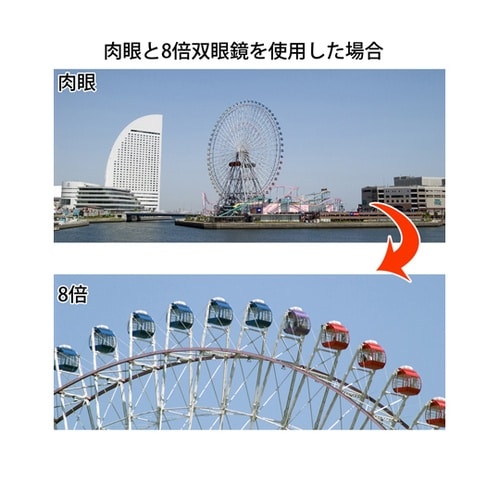 双眼鏡 コンパクト 8倍 21mm 8X