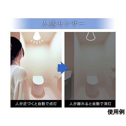 AC100V/ 8.5W/E26 電球/