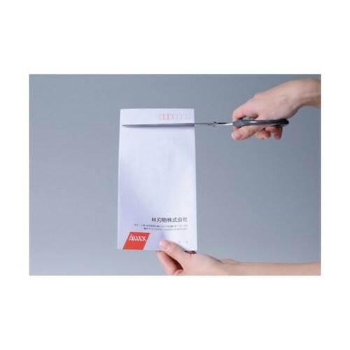 17112 ジャストサイズハサミS