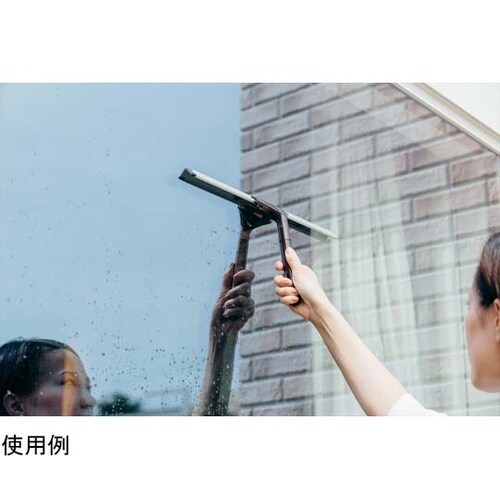 2989.jp+グラススクイジー40EX