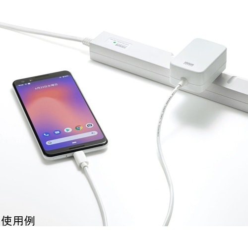 USB PD対応AC充電器(USB Ty