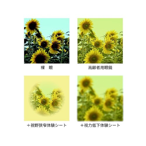 3042 高齢者用 眼鏡 疑似体験セット