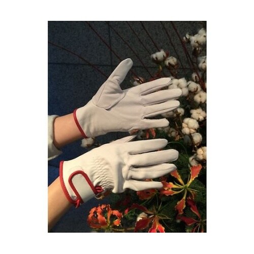 CG717LL 牛本革手袋 LL