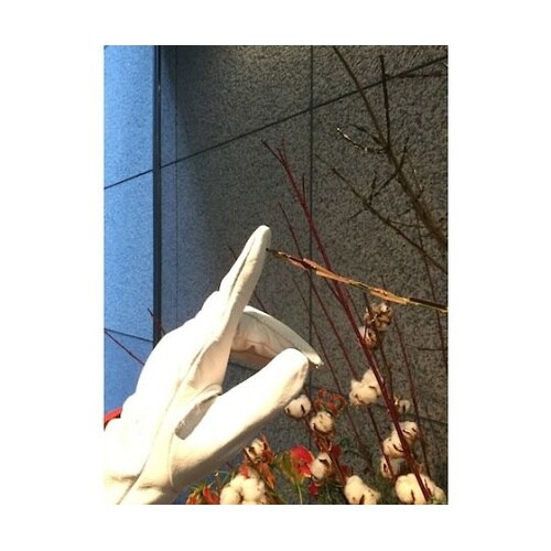 CG717LL 牛本革手袋 LL