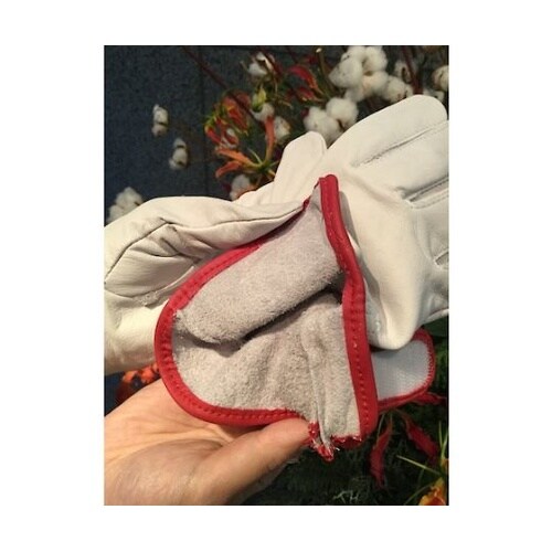 CG717LL 牛本革手袋 LL