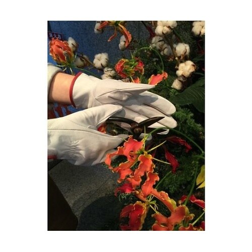 CG717LL 牛本革手袋 LL