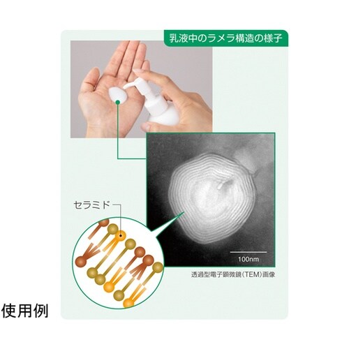 21352 保湿ミルク ミニ 150mL