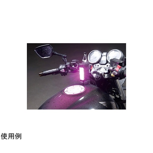 パープルセーバー 6910