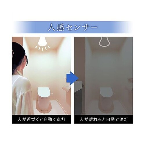 AC100V/ 5.6W/E26 電球/