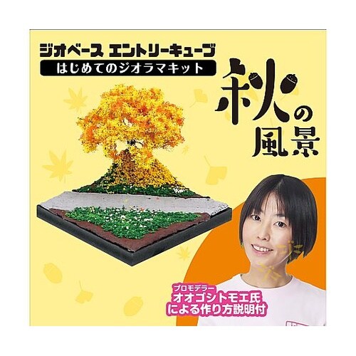 ジオベースエントリーキューブはじめてのジ