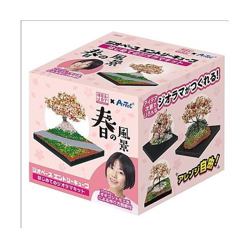 ジオベースエントリーキューブはじめてのジ