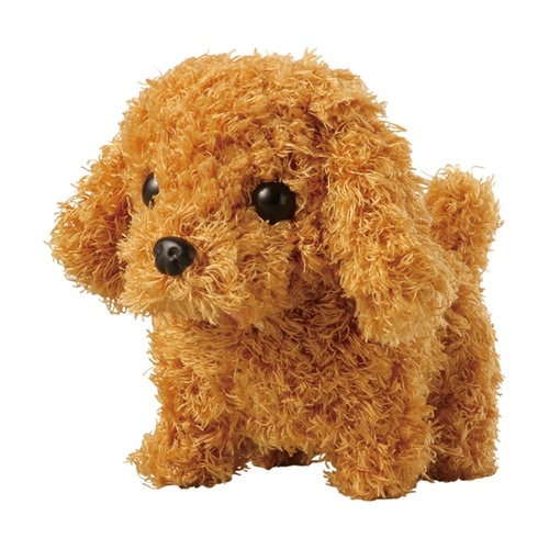 トコトコあるくよ なかよし プードル 4