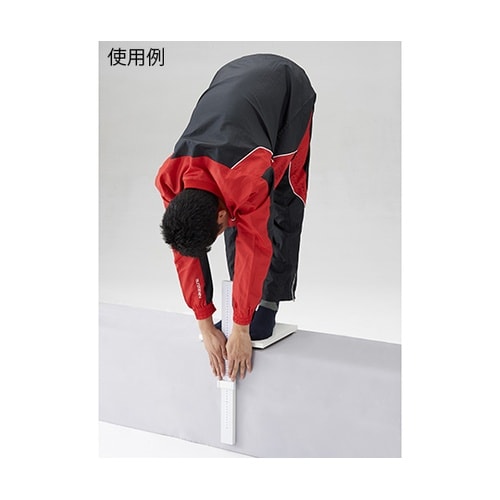 D−3638 立位体前屈測定器