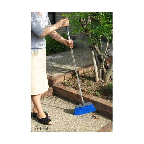 21531 カラーホーキ 青