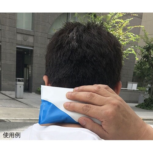 「手のひら冷却」用携帯保冷剤 Ice B