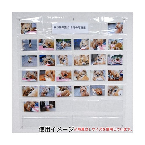 PTH−L 写真展示ホルダー L