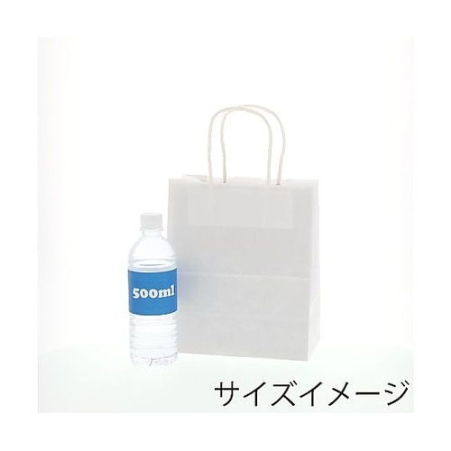 003266000 手提げ紙袋 晒白無地