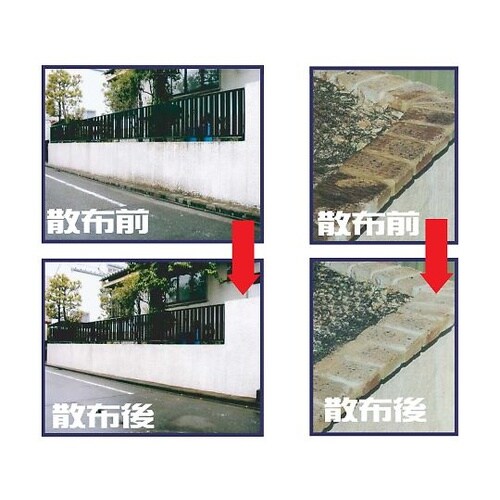 4409600 アウトドアクリーナー2L