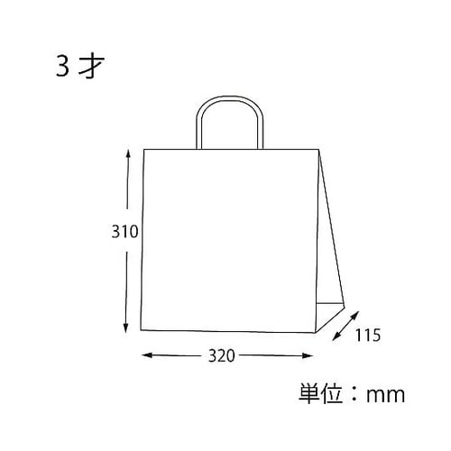 003251212 手提げ紙袋オレンジC