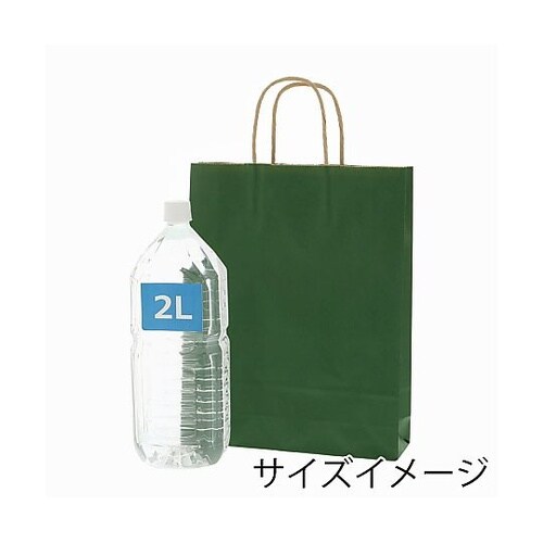 003276805 手提げ紙袋グリーンC