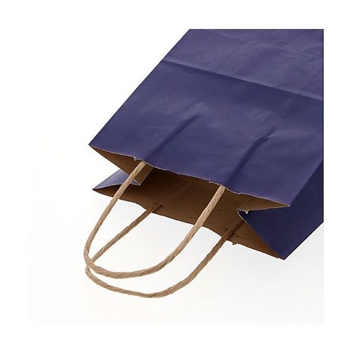 003266306 手提げ紙袋未晒