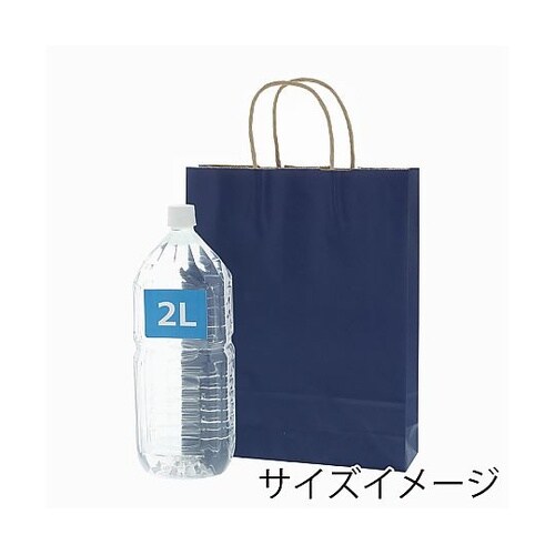 003276809 手提げ紙袋未晒