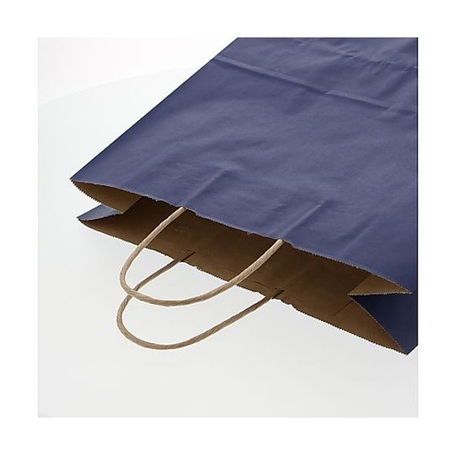 003251213 手提げ紙袋未晒