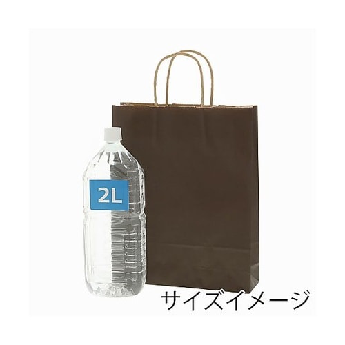 003276806 手提げ紙袋未晒焦茶C