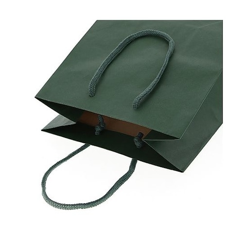 005330101 手提げ紙袋 緑