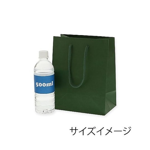 005330101 手提げ紙袋 緑