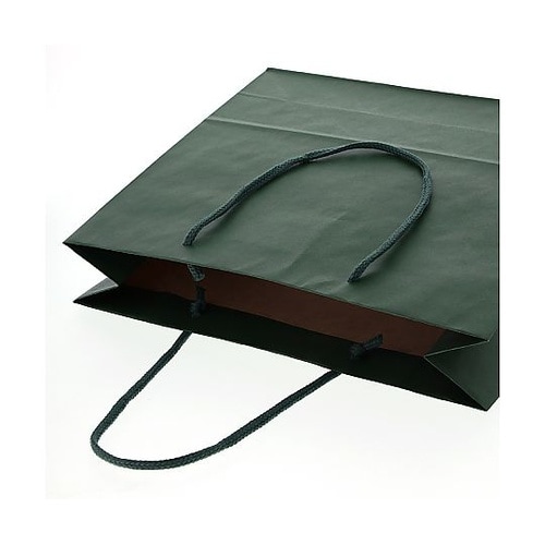 005320111 手提げ紙袋 緑