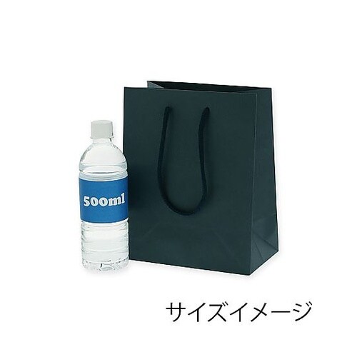 005330102 手提げ紙袋 紺
