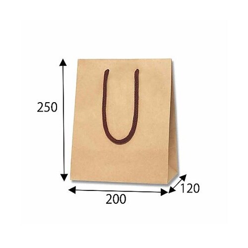 005330106 手提げ紙袋 クラフト