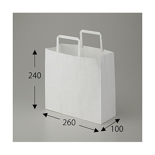003267300手提げ紙袋平手晒白無地