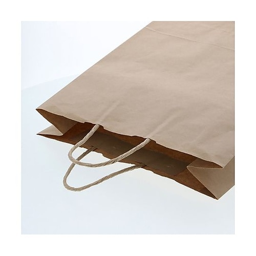 003201200 手提げ紙袋 未晒無地