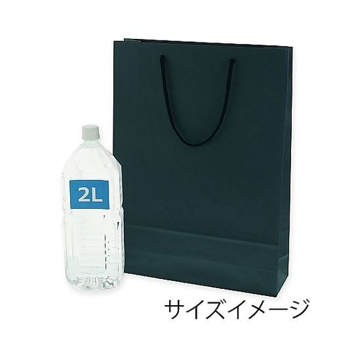 005310112 手提げ紙袋 紺