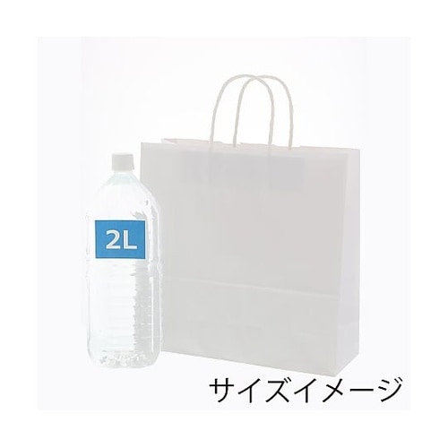 003240101 手提げ紙袋 晒白無地