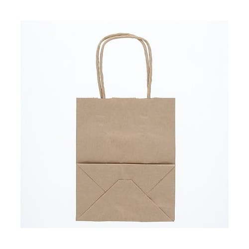 003271110 手提げ紙袋 未晒無地