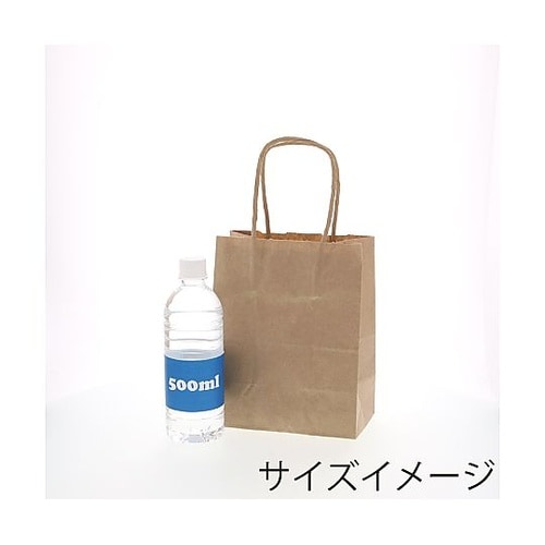 003271110 手提げ紙袋 未晒無地