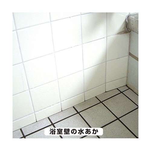 17660102100 復活洗浄剤