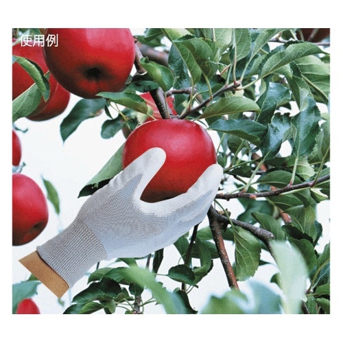 2999 ピッタリ倶楽部 手袋 M