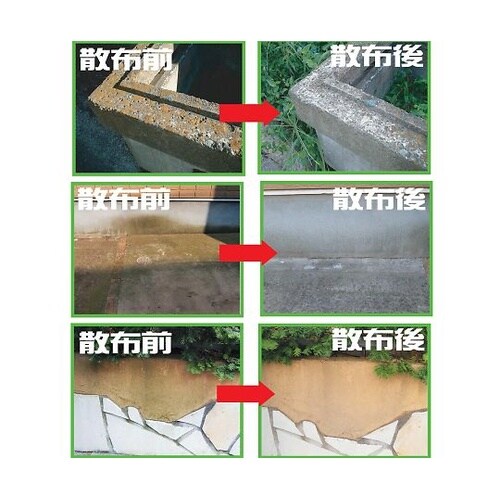 4578900 スプレー・クリーナー1L