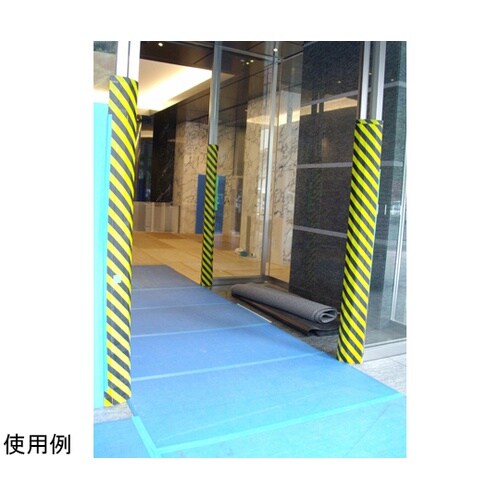 虎ノ門 1セット(10枚入) TM−43