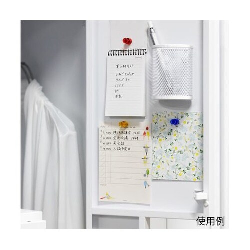 TMPC100R カラーマグネットピン赤