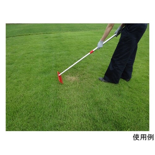 4036 芝生のサッチ取りレーキ 伸縮式