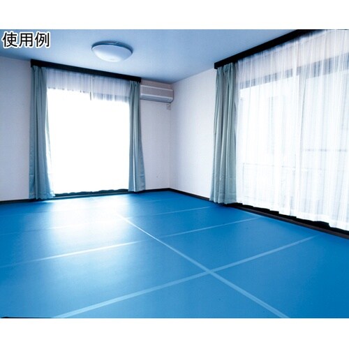 PE−20 養生くん 10枚入