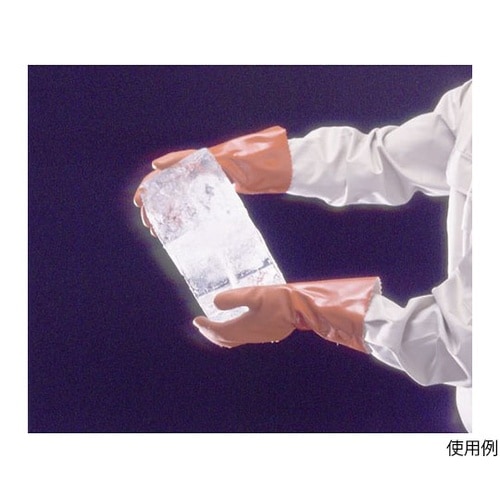 620 ニューロング L 60双