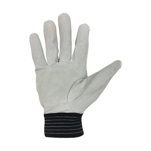 AG549−3P−L 豚床革手袋 L