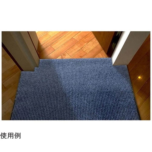 13710 玄関マット 40×60cm